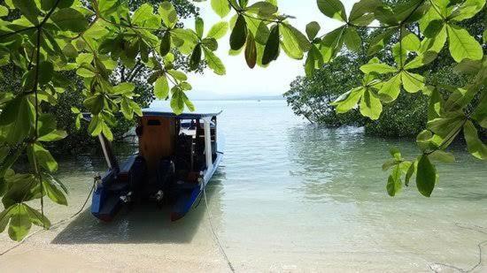 Two Fish Resort Bunaken Esterno foto